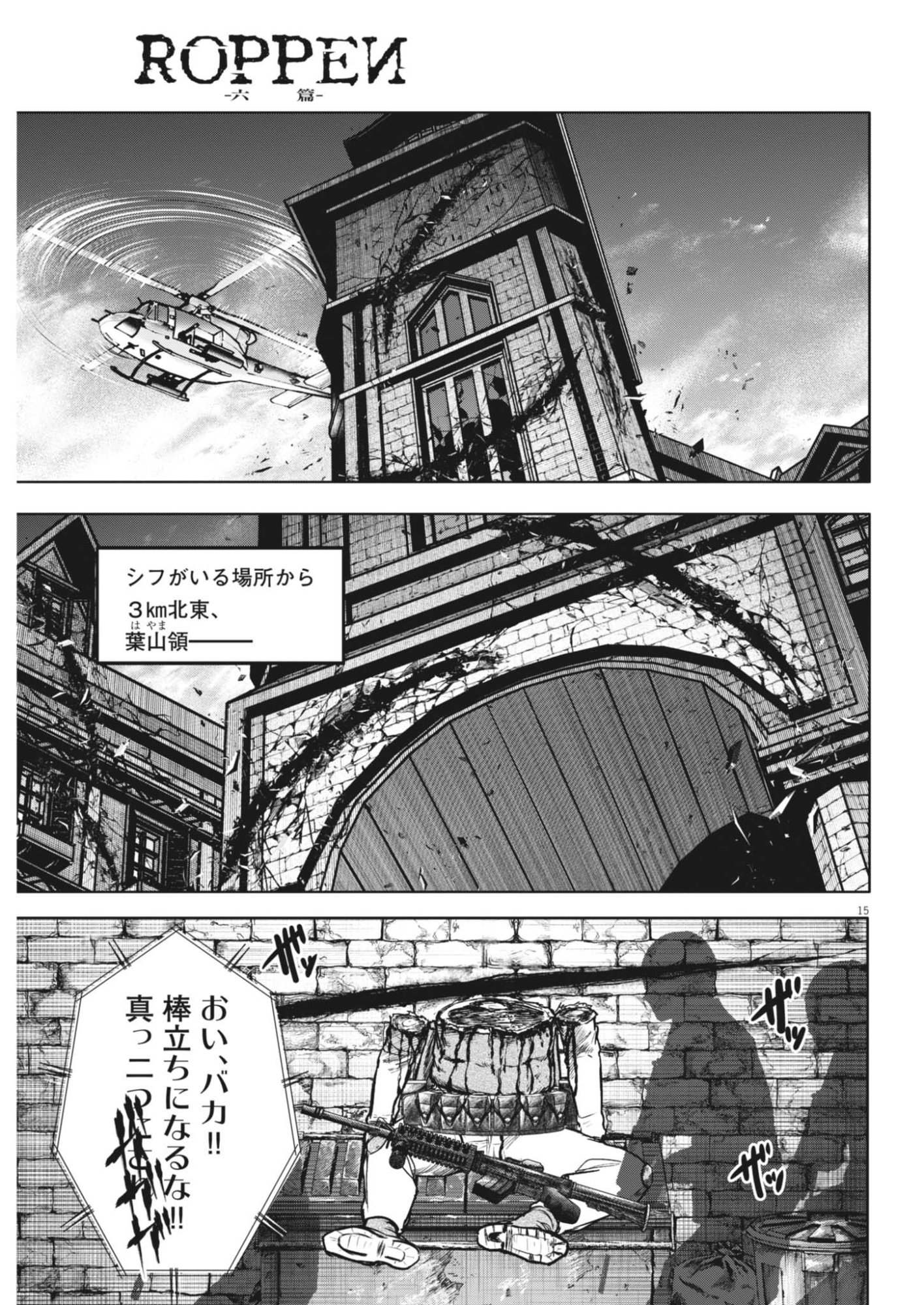 Page 15