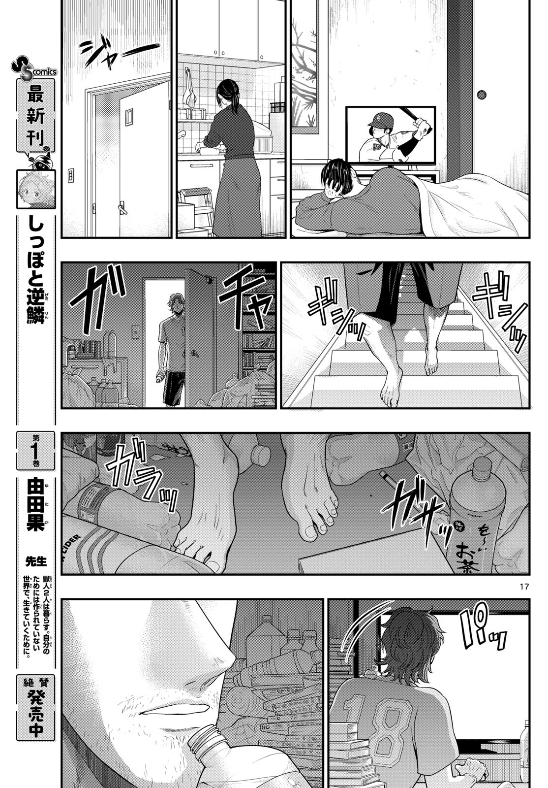 Page 17
