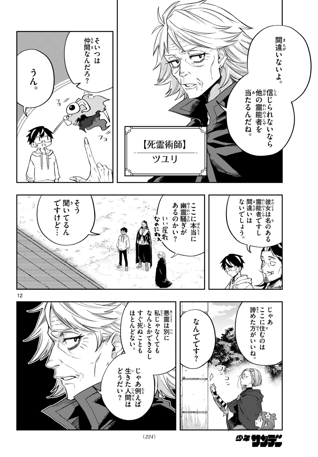 Page 12