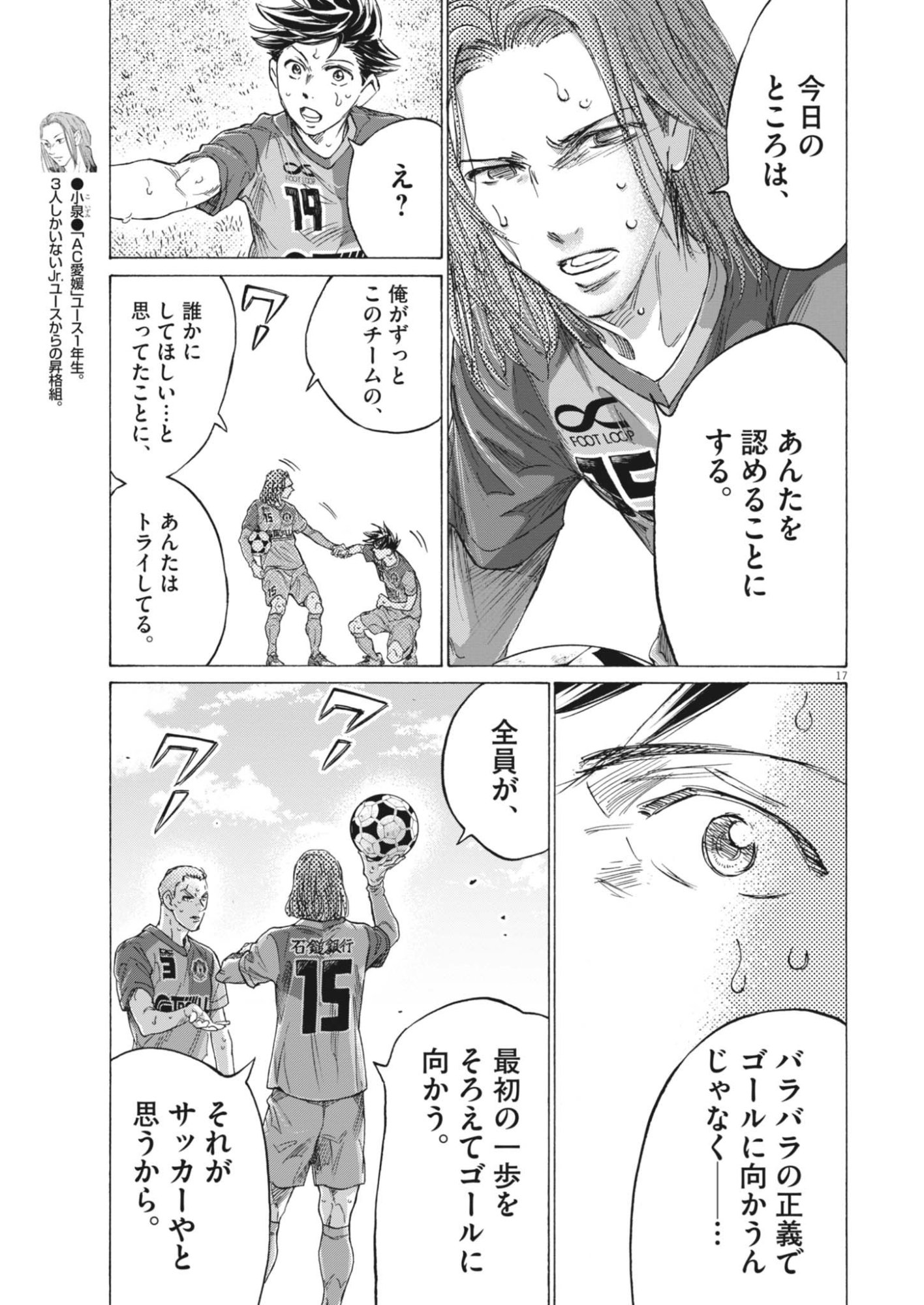 Page 17