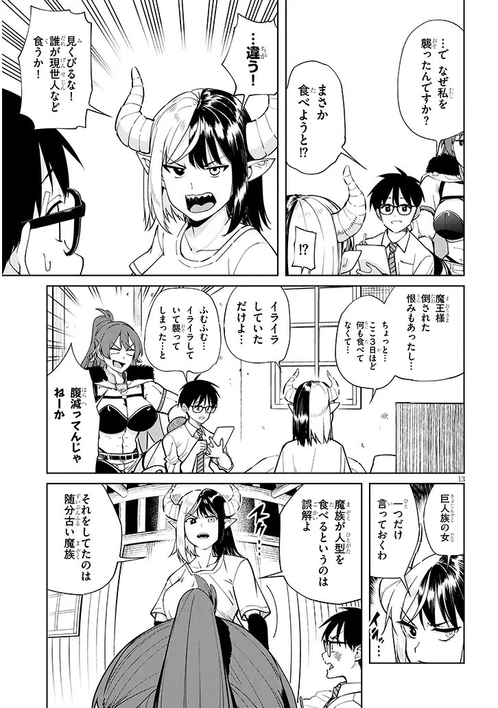 Page 13