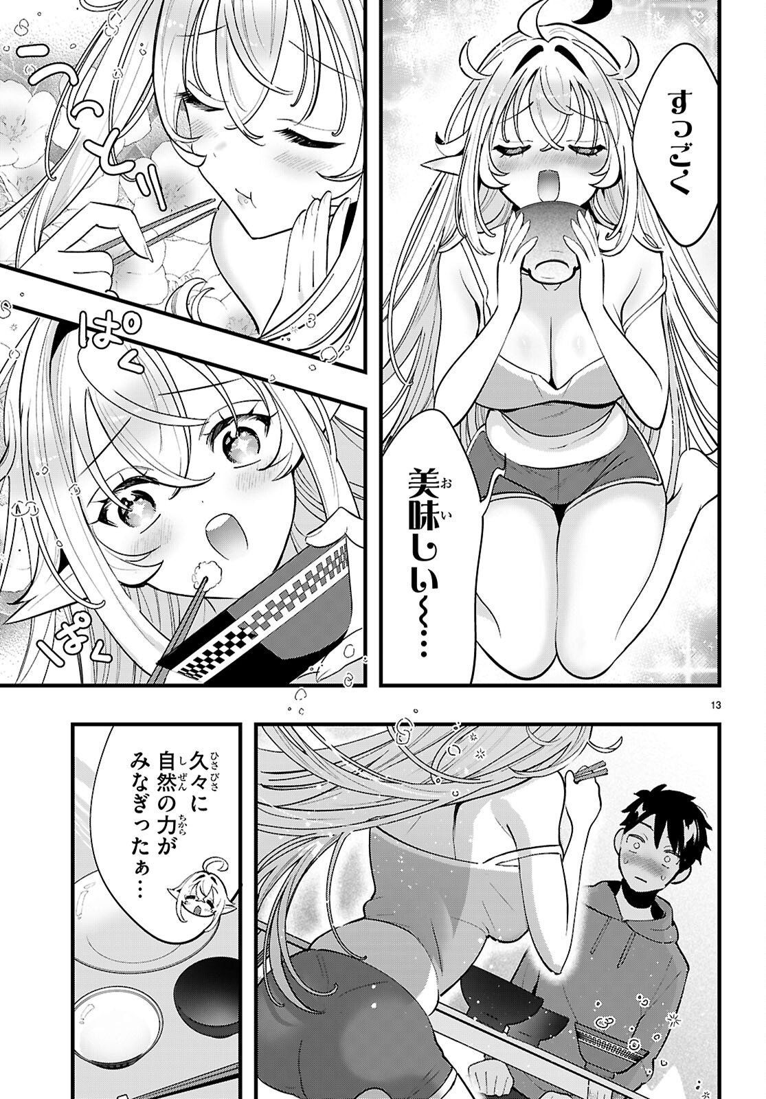 Page 13