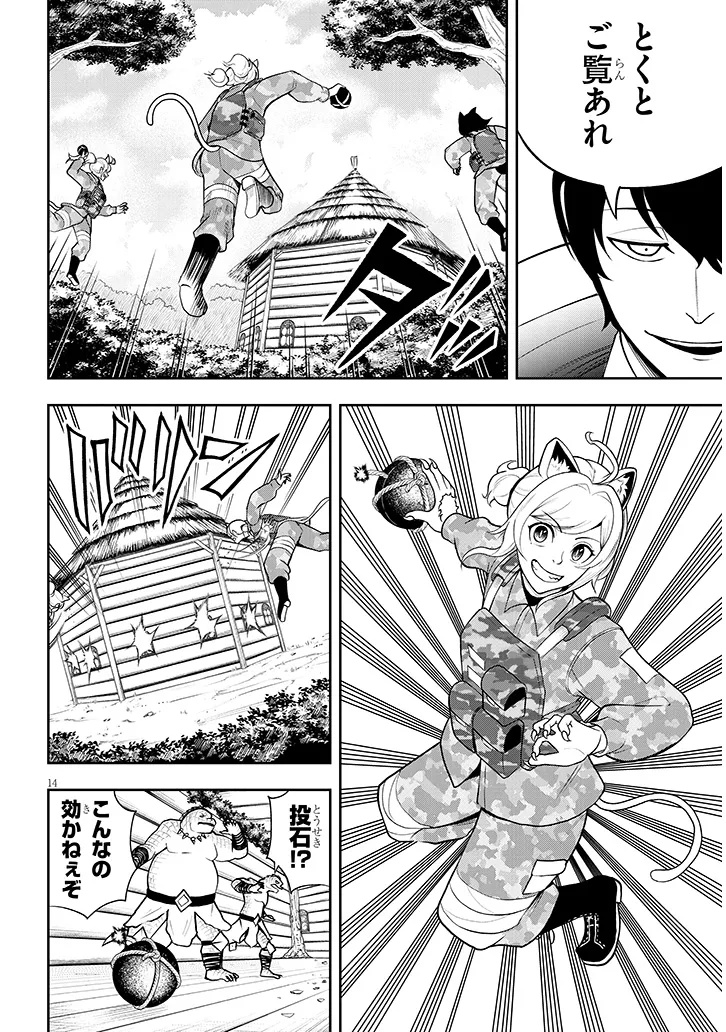 Page 14
