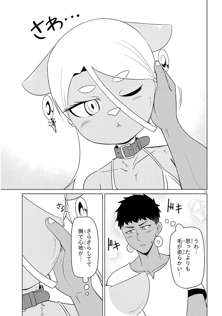 Page 11