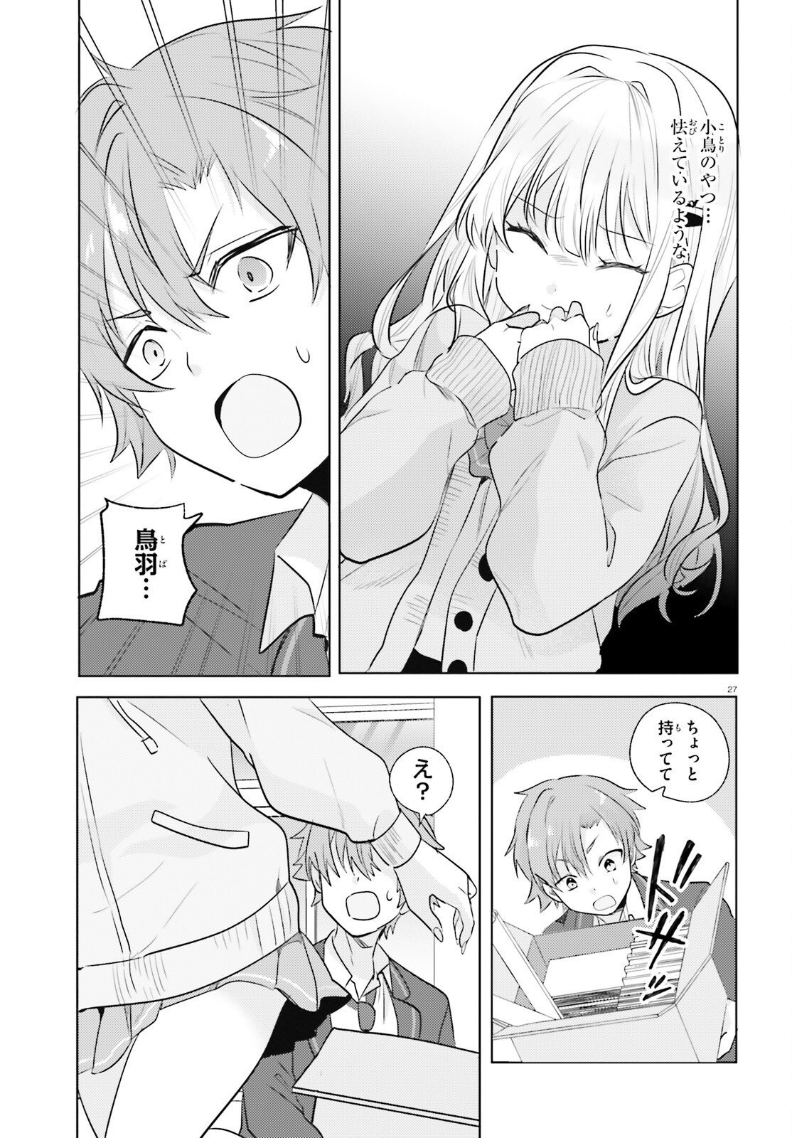 Page 27
