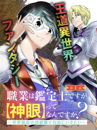 職業は鑑定士ですが【神眼】ってなんですか？ ～世界最高の初級職で自由にいきたい～ Raw Free